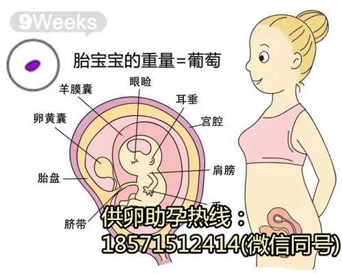 孕晚期拉肚子对成都代怀小孩哪家公司好有影响吗?