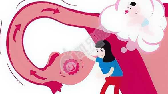 成都代怀孕集团,绝经或闭经后是否可以做泰国试管婴儿吗绝经后还能做泰国试