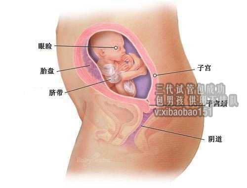 成都代怀一对一咨询,年前去泰国做试管婴儿的步骤（收藏篇）