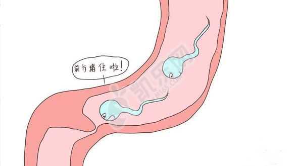 成都代怀妈妈网论坛,试管婴儿移植不成功胚胎去哪了