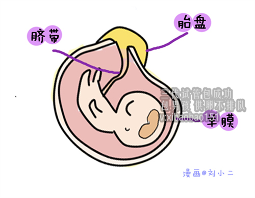 <b>成都代怀医院孕妈妈,怎么调理身体容易怀孕女孩备孕吃什么好</b>